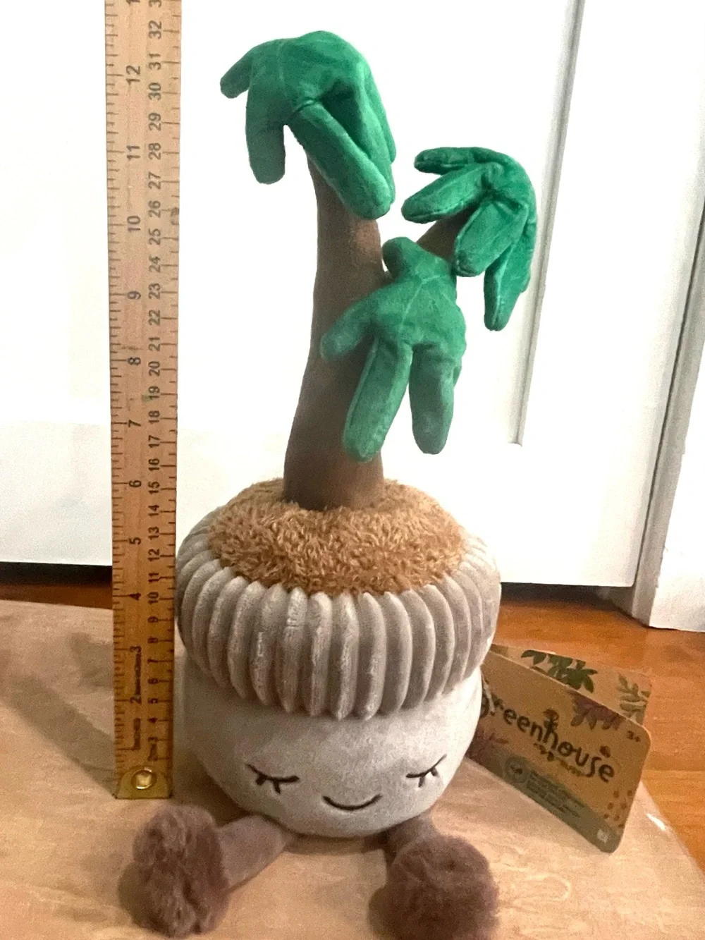 Greenhouse by Russ Money Tree Planter - Soft Green and Brown Cozy Décor